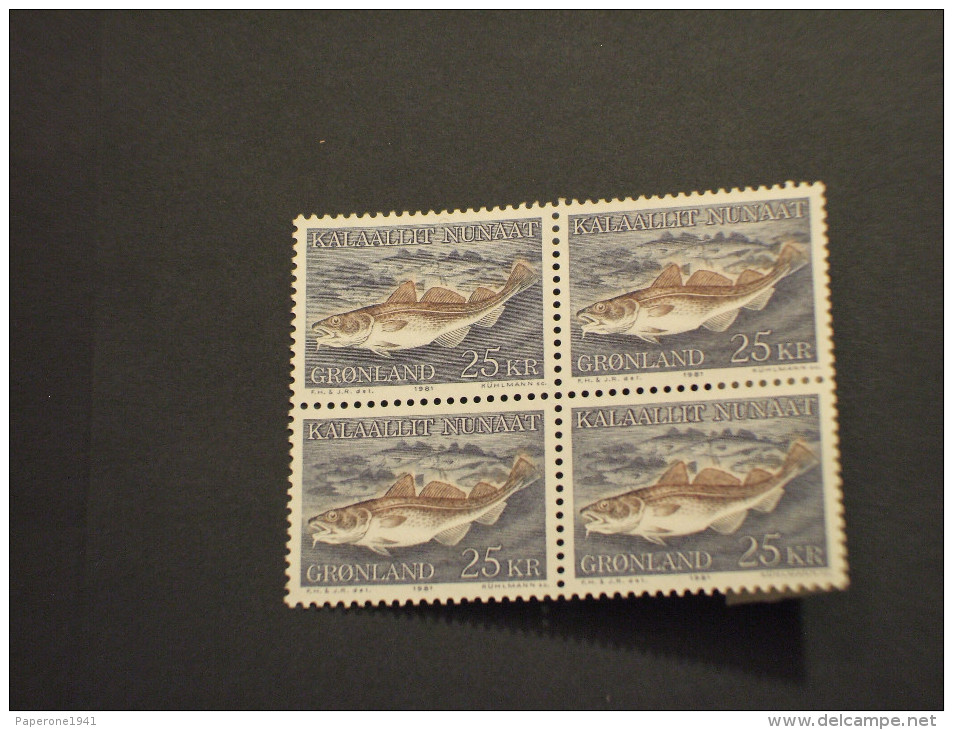 GROENLANDIA - 1981 PESCE 25 K., In Quartina(block Of Four) - NUOVI(++) - Unused Stamps