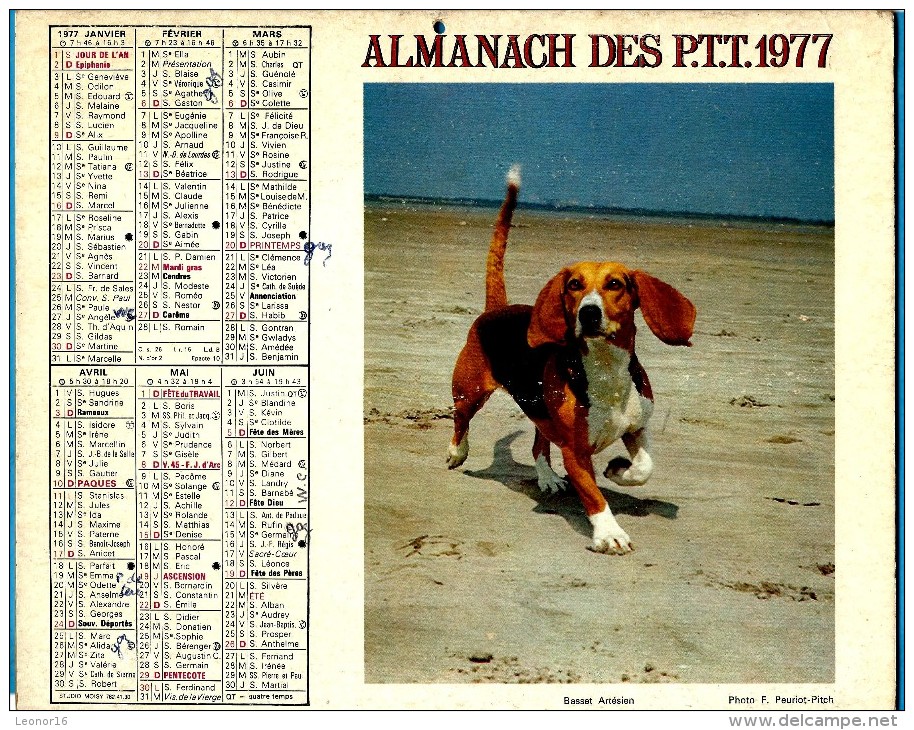 ALMANACH DES P.T.T.1977 (54) - Complet ** BASSET ARTESIEN - KOALA ** - Editeur : JEAN CARTIER BRESSON N°26 - Grand Format : 1971-80