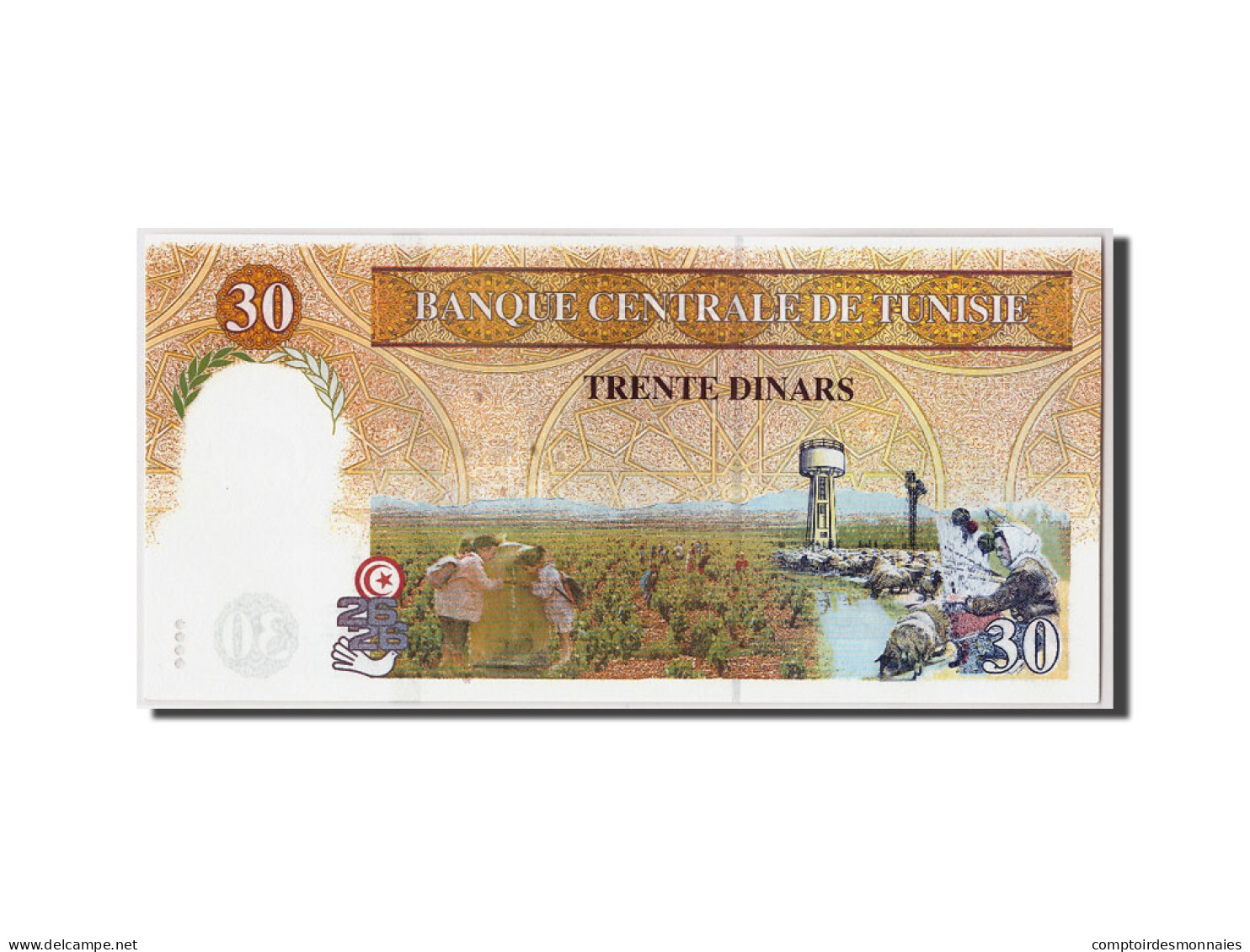 Billet, Tunisie, 30 Dinars, 1997, 1997-11-07, KM:89, NEUF - Tunisia