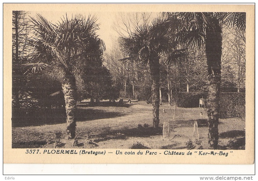 PLOERMEL  Ker Ar Beg  Le Chateau Un Coin Du Parc   Du Chateau Neuve TB (angle) - Ploërmel