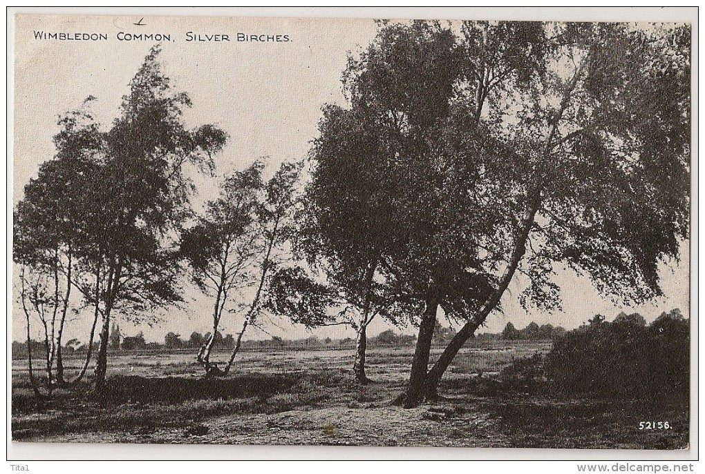 S4640 - Wimbledon Common - Silver Birches - London Suburbs