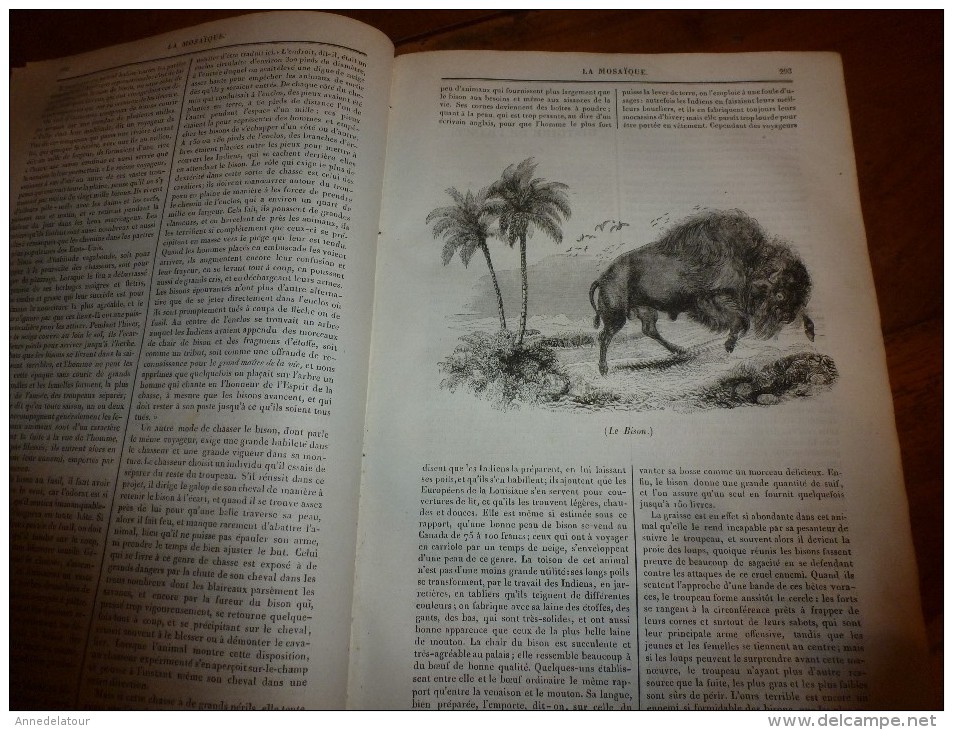 1835 LM : Les Différentes Formes De CARTES A JOUER;Le Bison;Fraternité Arabe;Louis VI;Chirurgie En 1474 Sur Un Condamné - Autres & Non Classés