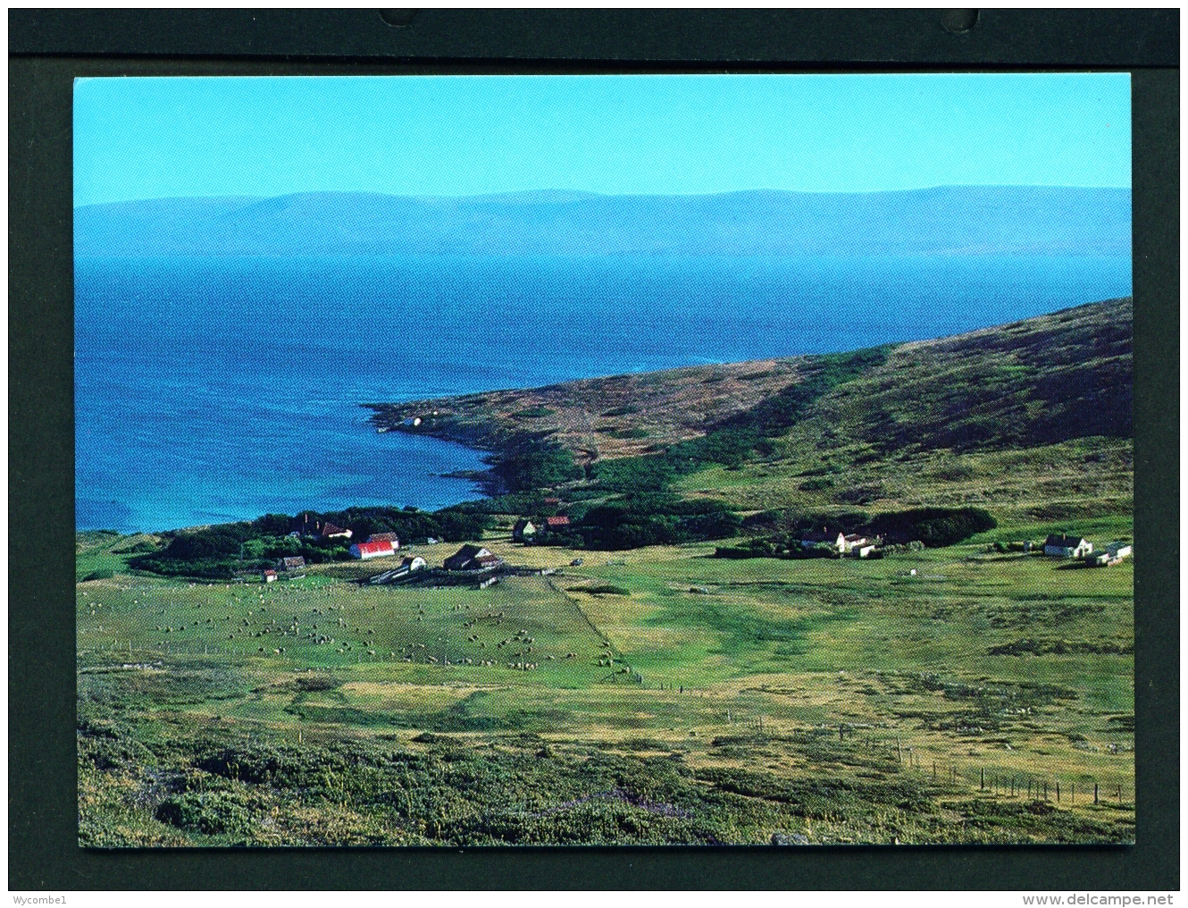 FALKLAND ISLANDS  -  Carcass Island Settlement  Unused Postcard - Falkland Islands