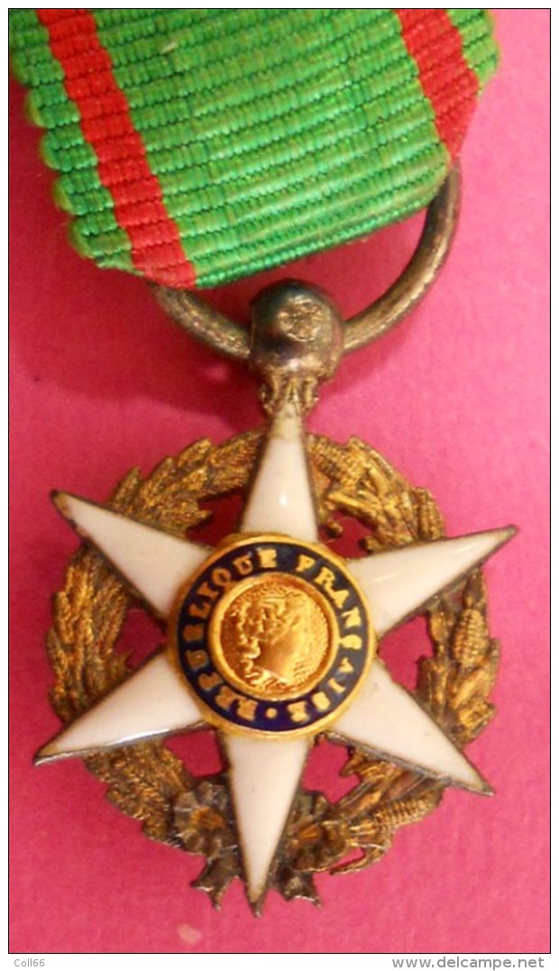 1883 médaille Superbe Mérite agricole et sa réduction et rubans( en argent poinçonnée) postage voir description