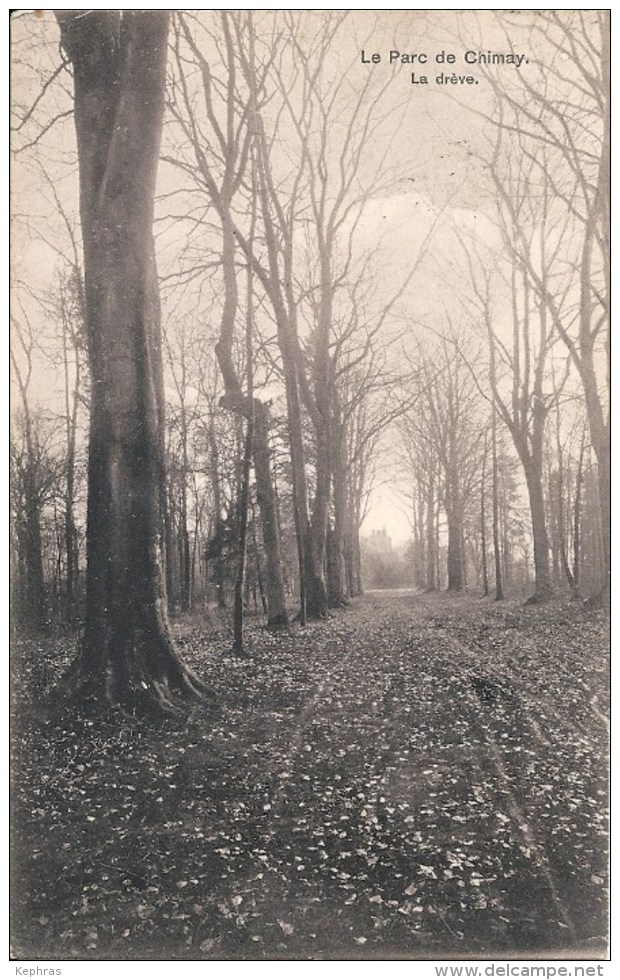 CHIMAY : Le Parc - La Drève - Edit. L. Ernult-Hutten, Chimay - Cachet De La Poste 1909 - Chimay