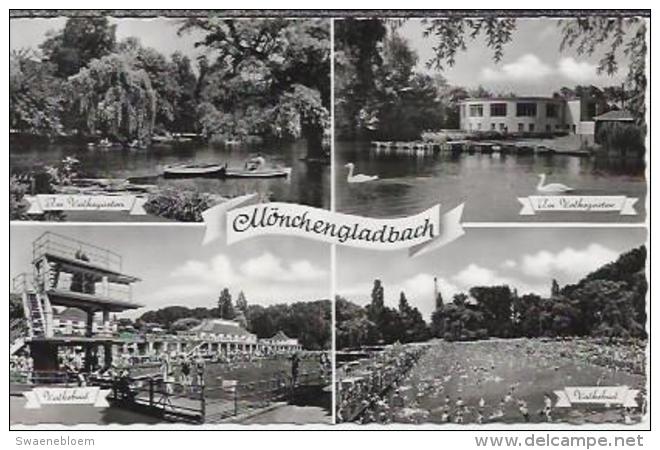 DE.- Mönchengladbach. Volksbad. Im Volksgarten. Zwaan. - Moenchengladbach