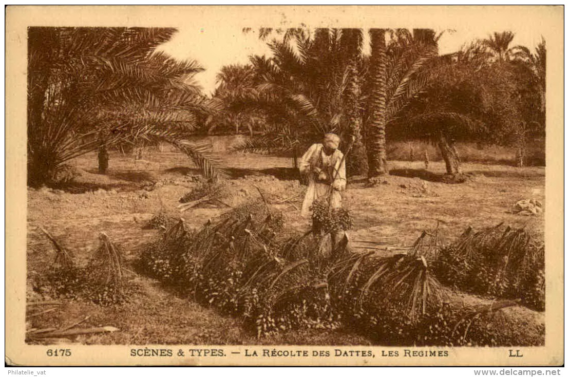 MAROC – Détaillons Collection – A Voir – Lot N° 12650 - Autres & Non Classés