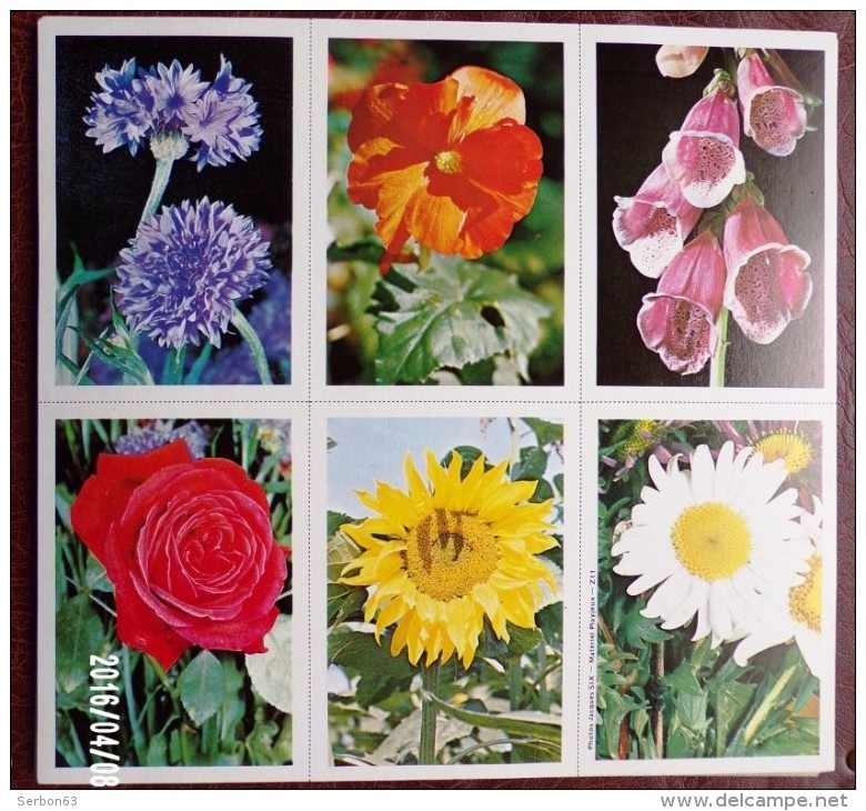 4 PLANCHES DE 6 IMAGES CARTONNÉES 8,5X12cm LES FLEURS EDITIONS LES PLAISIRS ET LES JEUX VERS 1980/90 - 6-12 Ans