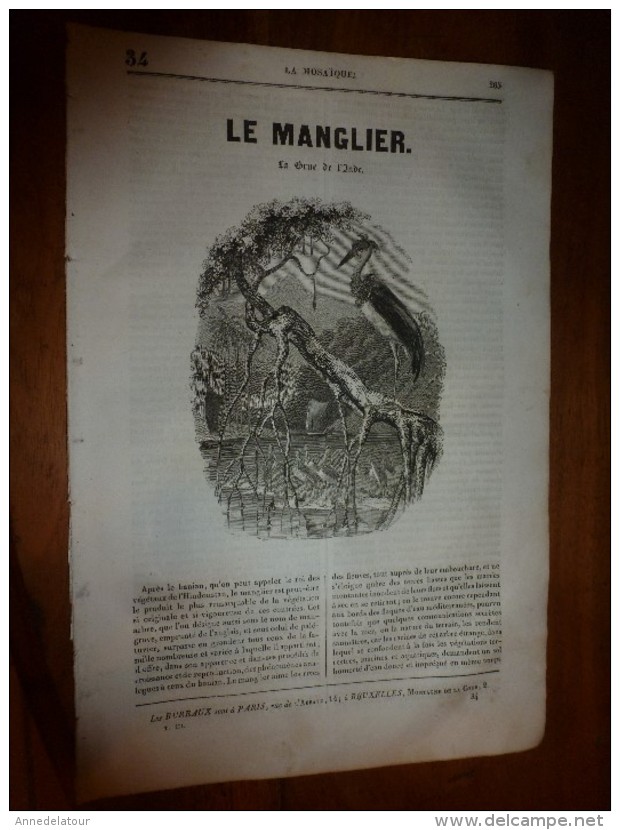 1835 LM :Le Manglier ( Mangrove) ;Philippe 1er ;Les énervés De Jumiégues (gravure) ; Cimetières Turcs;Mariage égyptien - Other & Unclassified