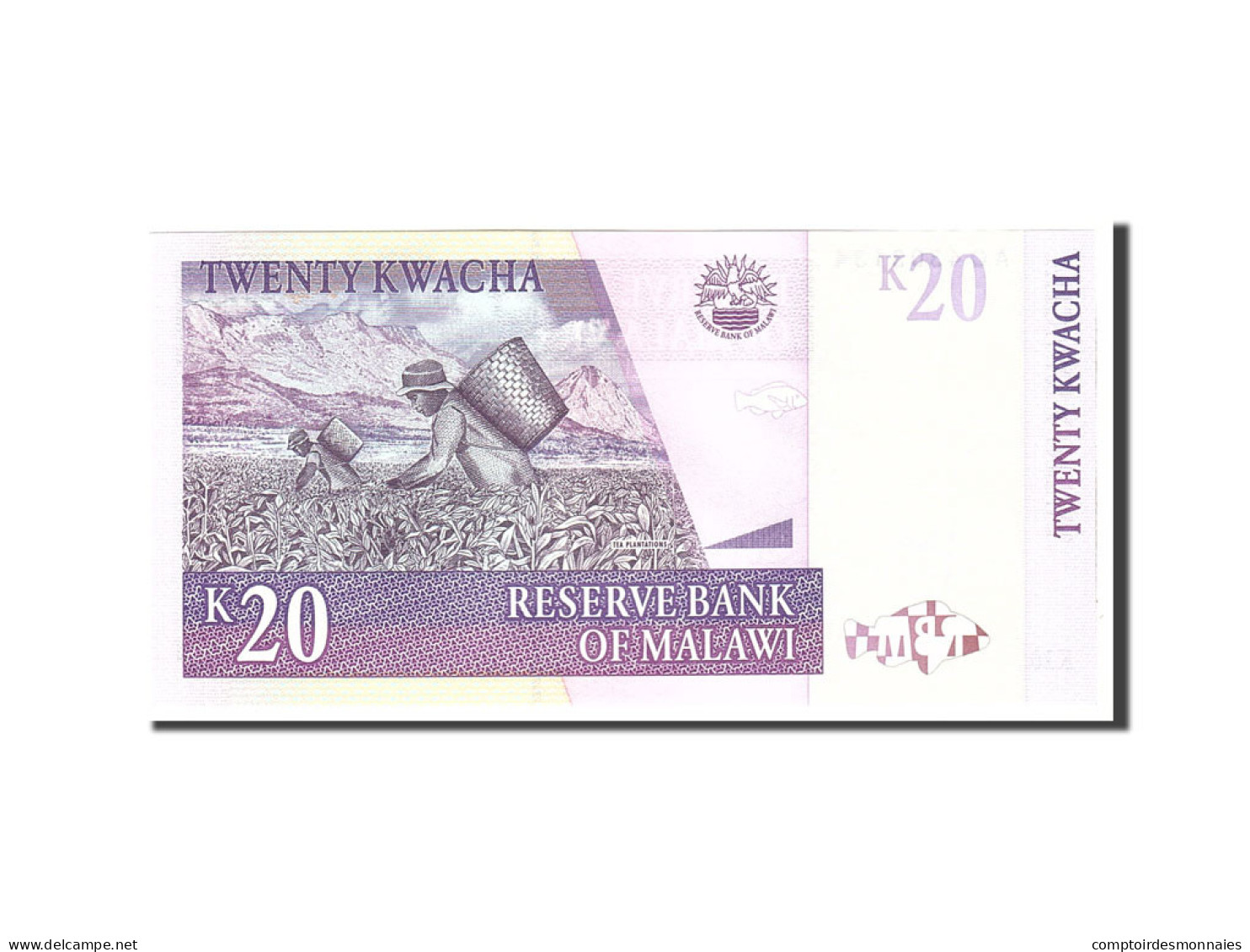 Billet, Malawi, 20 Kwacha, 2006, 2006-10-31, KM:52c, NEUF - Malawi