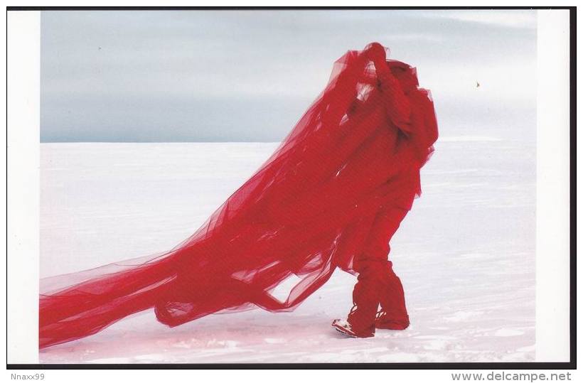 Art - Red 12 Antarctic Project By Andrea Juan (Argentina), 2005, 4th Beijing International Art Biennal, China, 2010 - Paintings