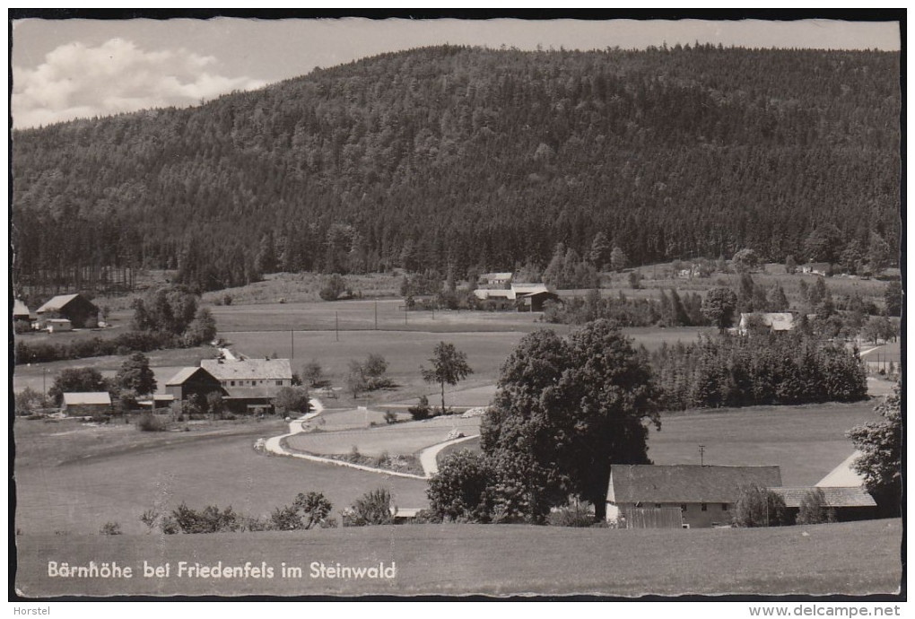 D-95688 Friedenfels Im Steinwald - Bärnhöhe (60er Jahre) - Tirschenreuth