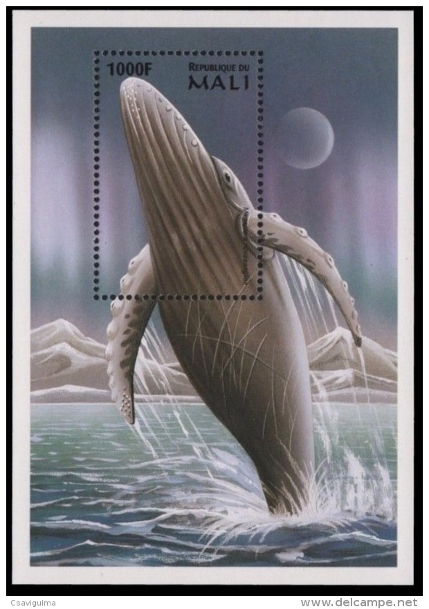 Mali - 1998 - Whale - Yv Bf 84 - Wale