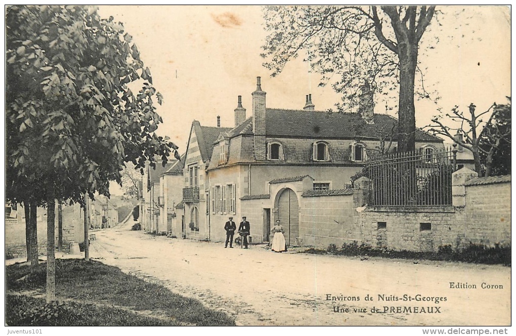 CPA Environs De Nuits Saint Georges-Une Vue De Premeaux     L2086 - Nuits Saint Georges