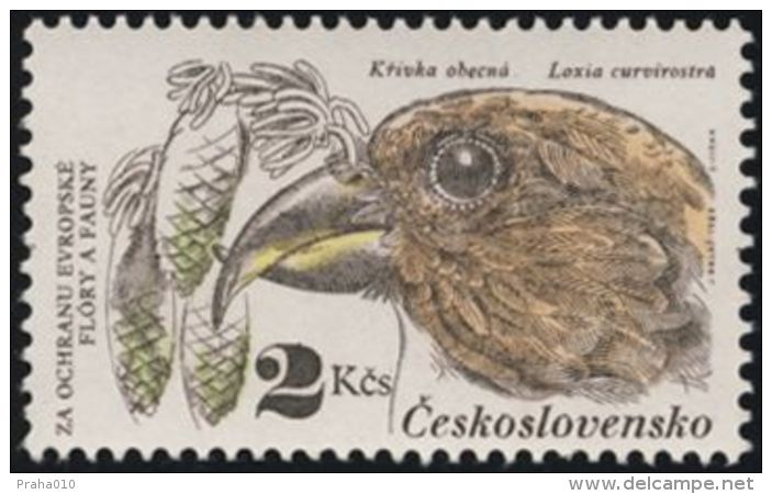 Czechoslovakia / Stamps (1983) 2589: Protecting Nature CSSR (Loxia Curvirostra; Pine Cones); Painter: Jozef Balaz - Specht- & Bartvögel