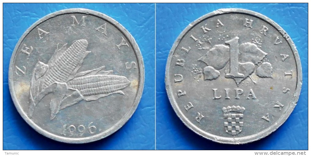 CROATIA  1 Lipa 1996 EARS OF CORN (ZEA MAYS) - Croazia