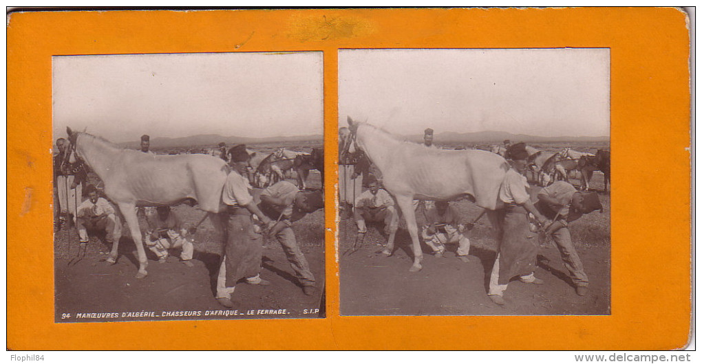 ALGERIE - CHASSEURS D'AFRIQUE - LE FERRAGE - MANOEUVRE D'ALGERIE - SUPERBE. - Stereoscopic