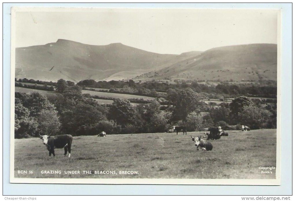 Brecon - Grazing Under The Beacons - Breconshire