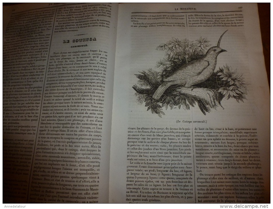 1835 LM :LOUVRE;Mercure D'Idria (Frioul) ,d'Amalden (Esp);Le COTINGA;Destruction Des Janissaires;Jeux Floraux D'Isaure - Autres & Non Classés