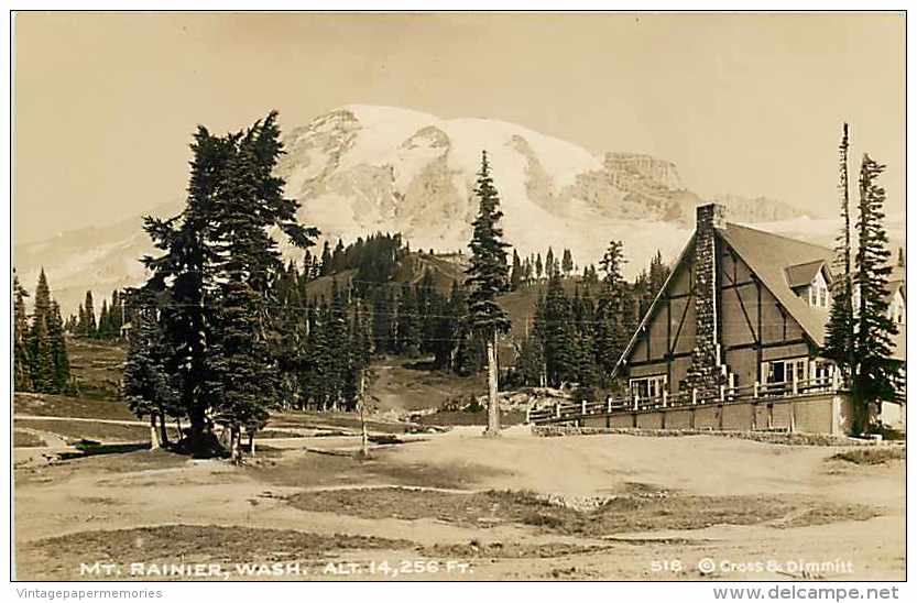 243597-Washington, Mount Rainier National Park, RPPC, Paradise Inn Lodge, Cross & Dimmitt Photo No 518 - Sonstige & Ohne Zuordnung