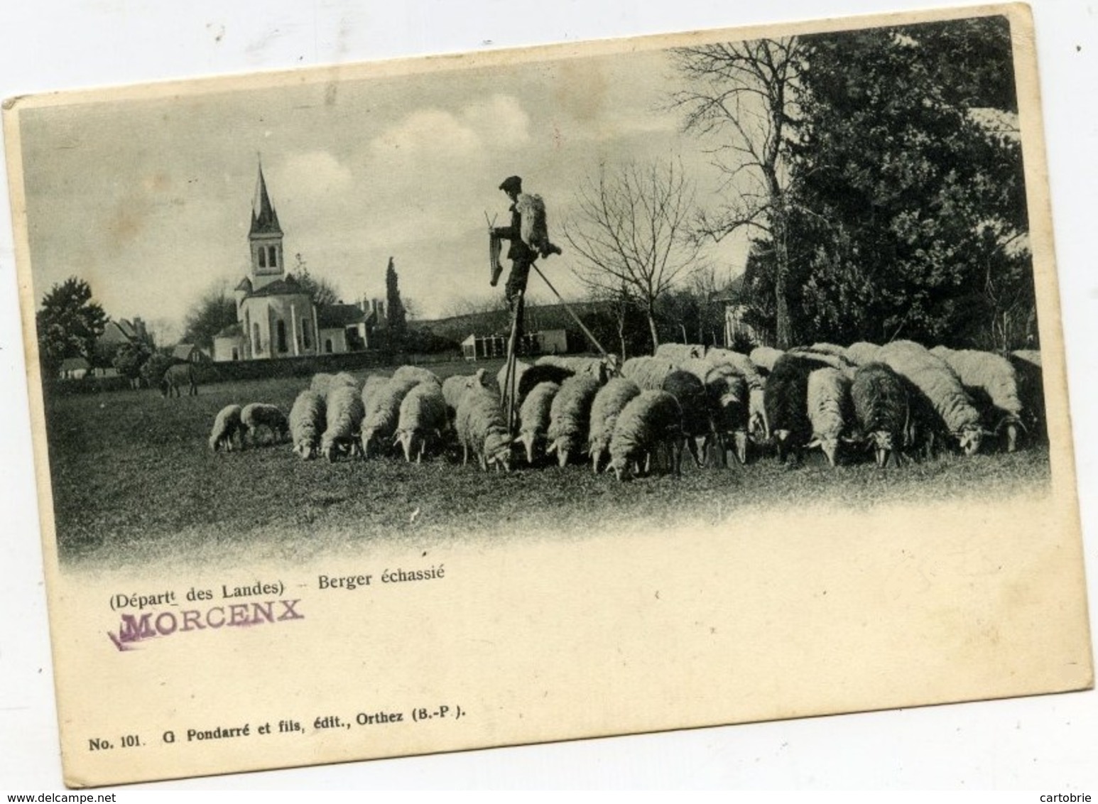 40 MORCENX - Berger échassié - Carte Précurseur - Animée - Troupeau De Moutons - Morcenx