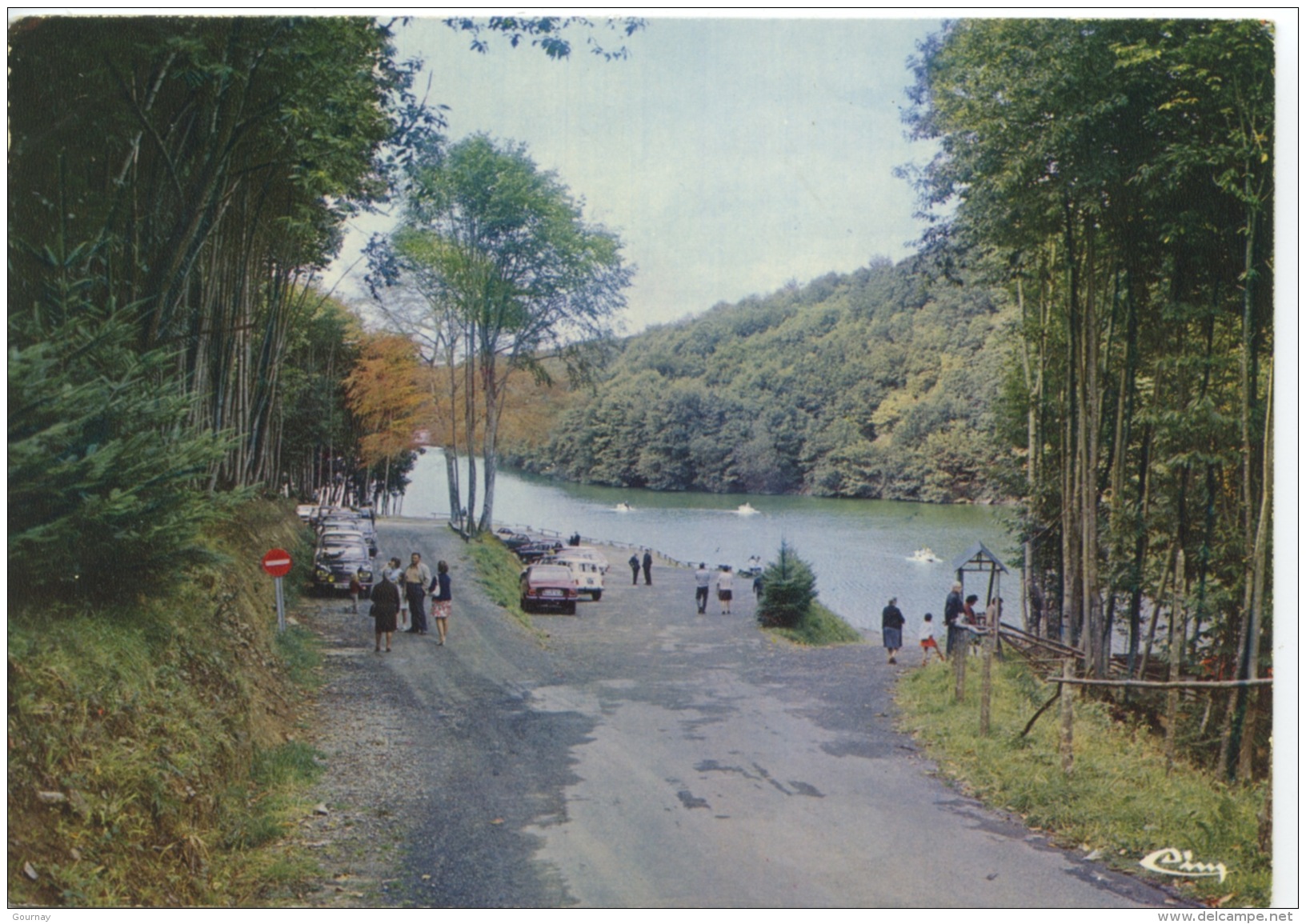 Saint Laurent De Terregatte : Lac De La Roche Qui Boit "Le Rocher Bar" Pédalos Barques (n°50111 Combier Neuve) - Altri & Non Classificati