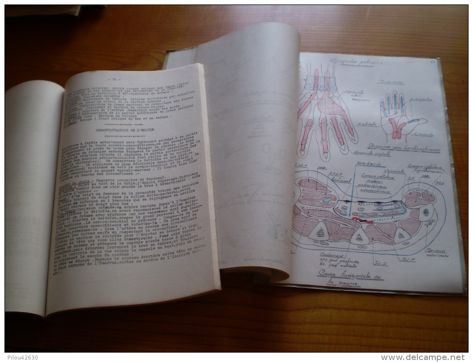 Médecine Opératoire à L'Ecole D'application Du Service De Santé De La Marine,ligature Des Artères, Amputations,chirurgie - Autres & Non Classés