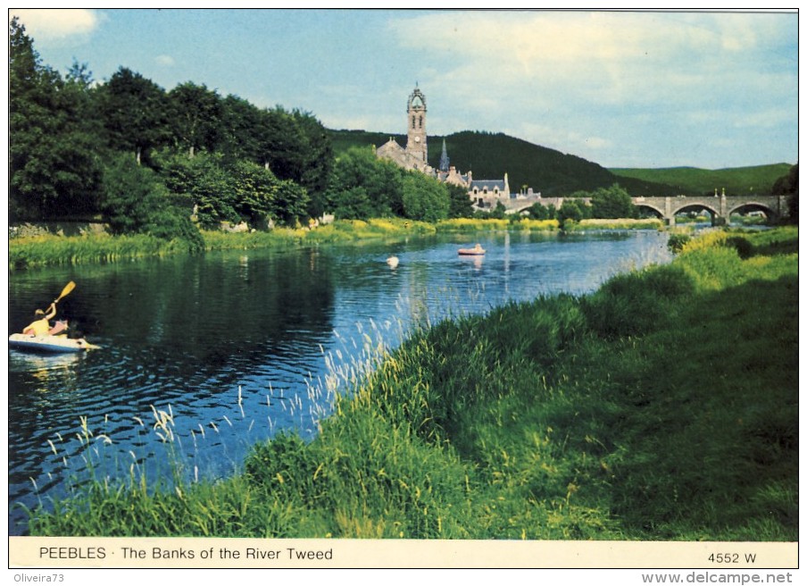 PEEBLES, The Banks Of The River Tweed, 2 Scans - Peeblesshire