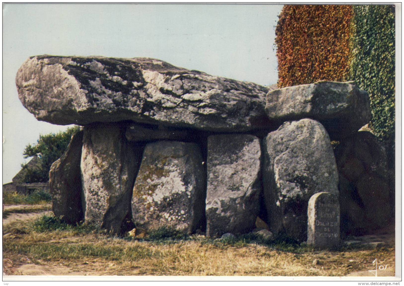 La BRETAGNE - Région De CARNAC,  Dolmen De Crucuno - Dolmen & Menhirs