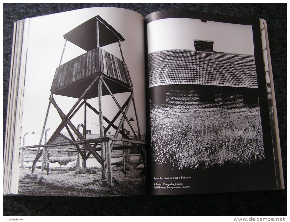 AUSCHWITZ BIRKENAU Que l'innommable ne devienne pas l'innommé Guerre 40 45 Camps Concentrations Déportations