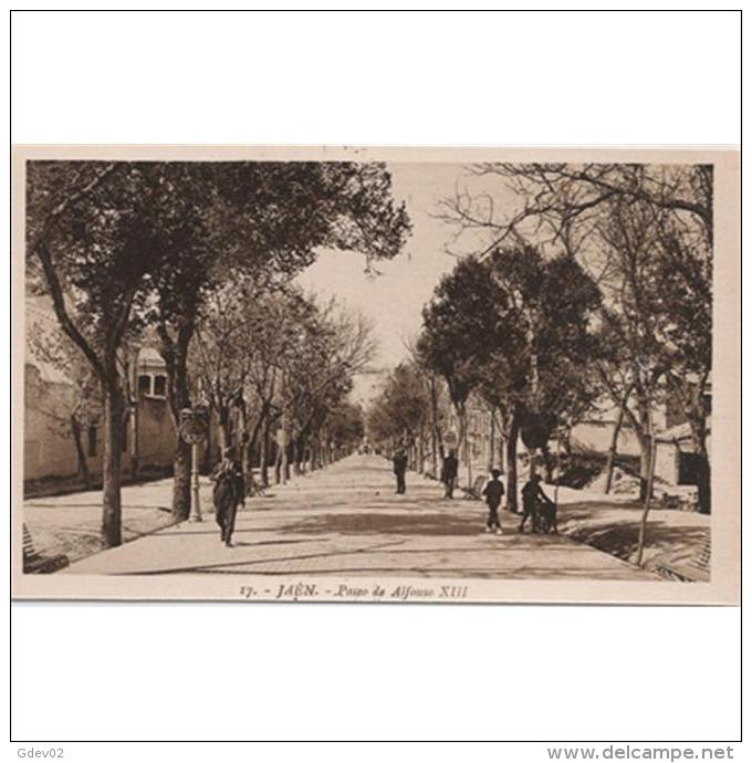 JNTP7776-LFTD3804.Tarjeta Postal De JAEN.Arboles,jardines,personas En El PASEO DE ALFONSO Xlll  En JAEN - Jaén