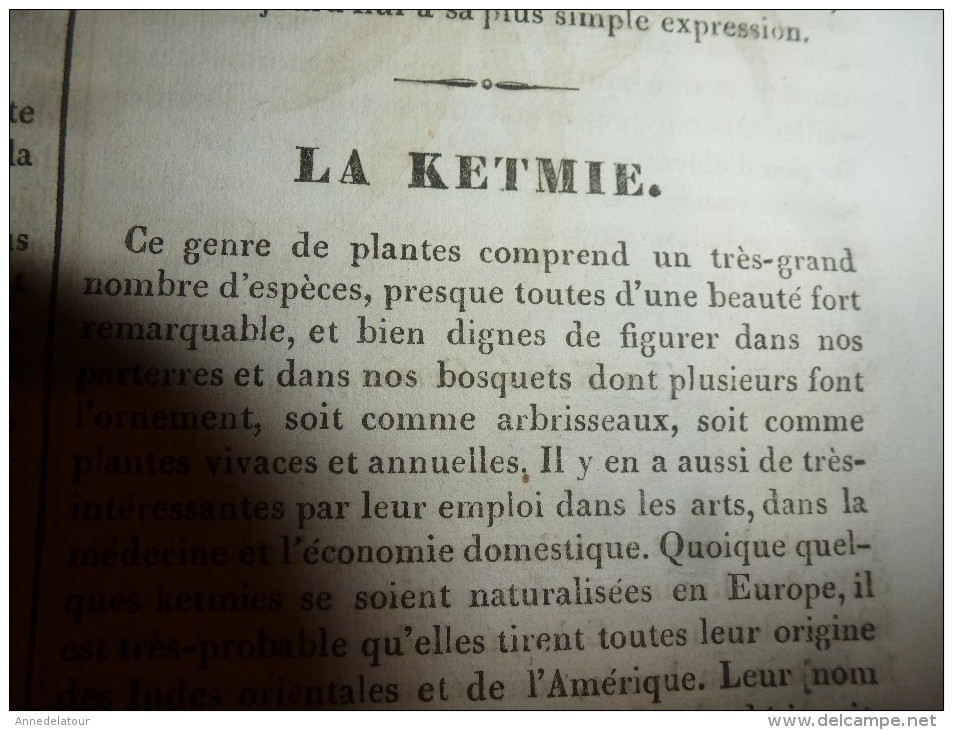 1835 LM : Château De Gaillon;Origine De La Sténo;La Ketmie;PRUD'HON De Cluny;Almanach Chinois;Avanie Faite Aux JUIFS - Non Classés