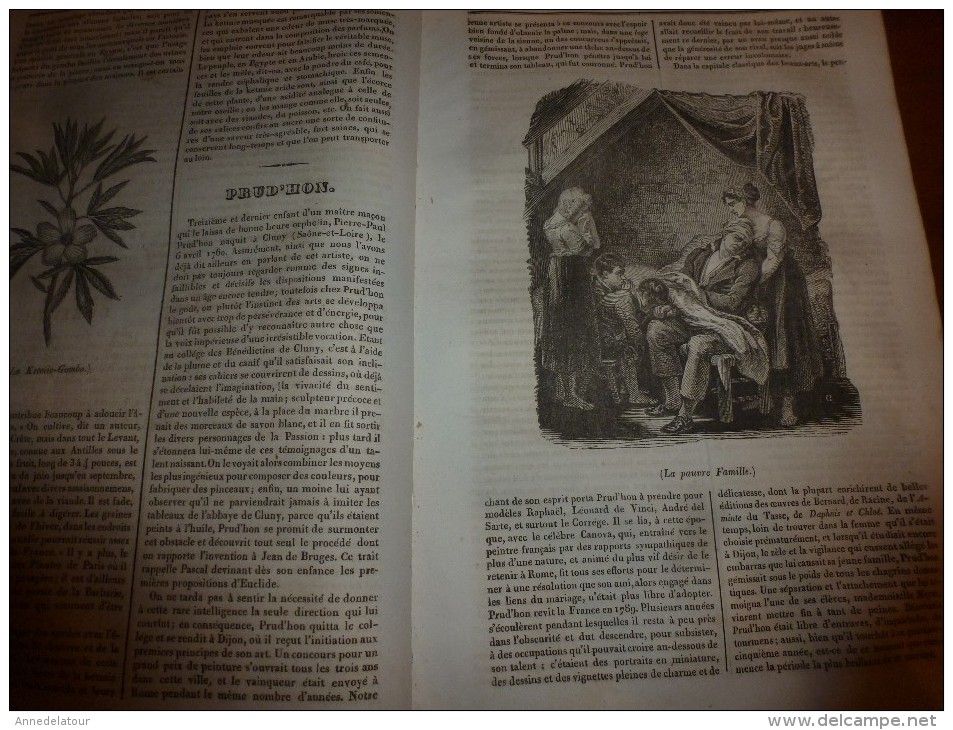 1835 LM : Château De Gaillon;Origine De La Sténo;La Ketmie;PRUD'HON De Cluny;Almanach Chinois;Avanie Faite Aux JUIFS - Non Classés