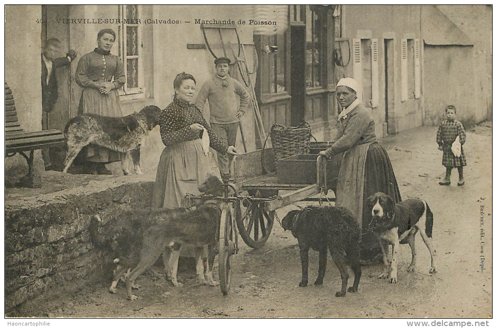 Vierville Sur Mer : Attelage  à Chiens - Villerville