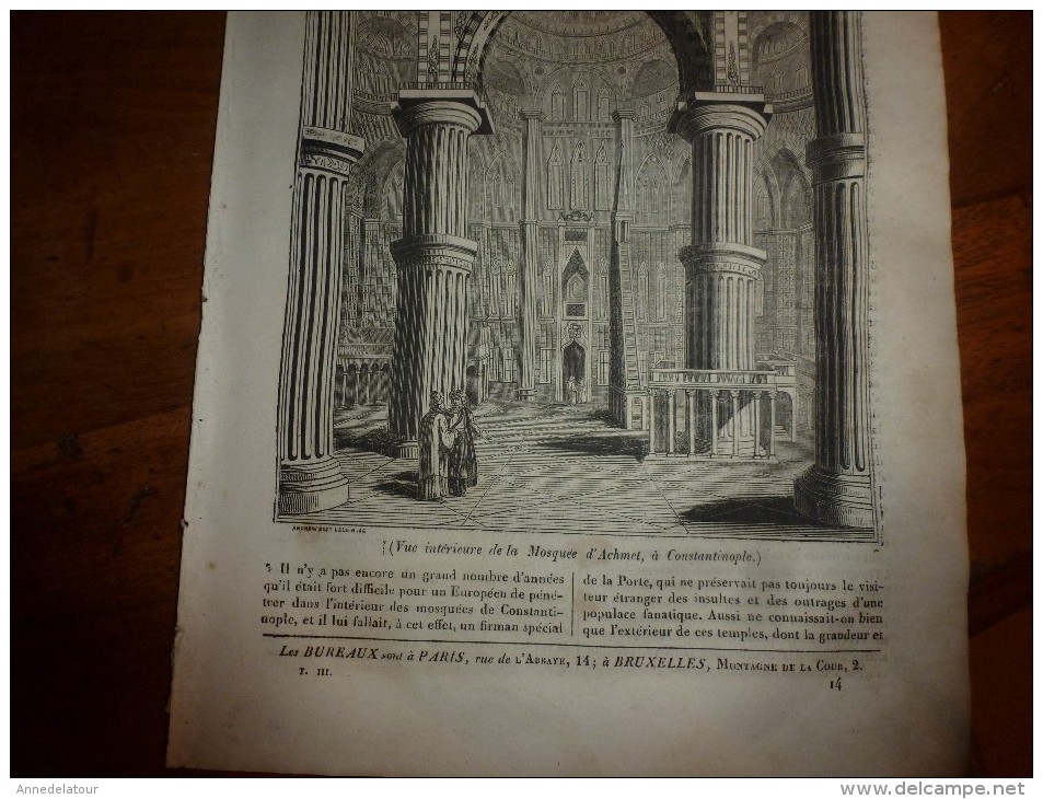 1835 LM : Les Mosquées En Turquie;Achmet (Constantinople);Platine Et Utilisations;Le Poisson PELERIN;Erasme à Rotterdam - Non Classés