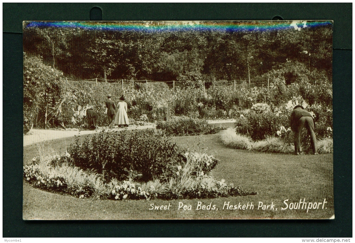 ENGLAND  -  Southport  Hesketh Park  Sweet Pea Beds  Used Vintage Postcard As Scans - Southport