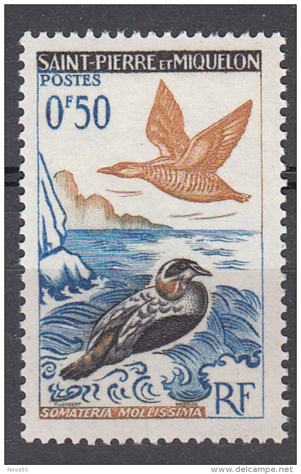 St. Pierre & Miquelon 1963 Mi Nr  398 Vogel, Bird, Eend - Unused Stamps