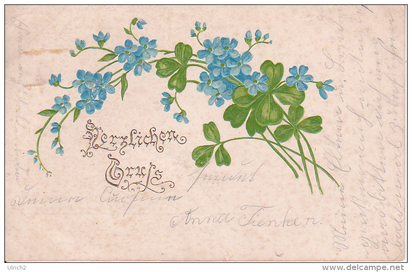 AK Herzlichen Gruss - Blumen - Prägekarte - 1903 (22600) - Blumen