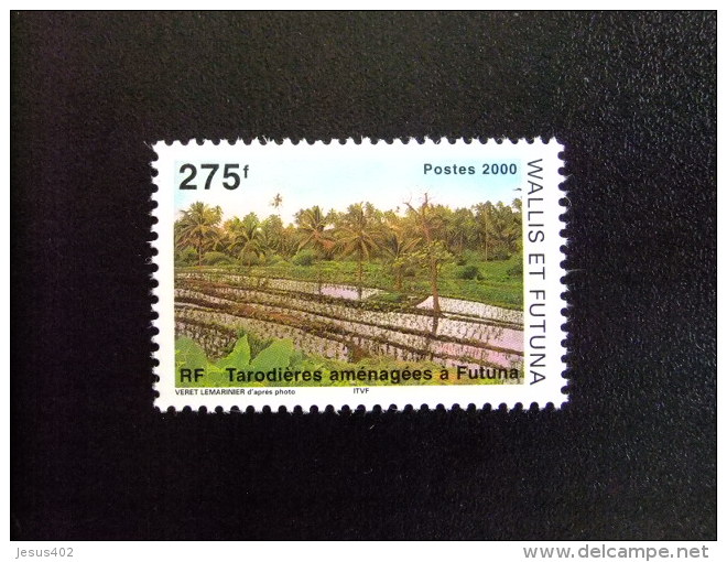 WALLIS Y FUTUNA WALLIS Et FUTUNA 2000 TARODIÈRES AMÉNAGÉES À FUTUNA Yvert & Tellier Nº 539 ** MNH - Nuovi