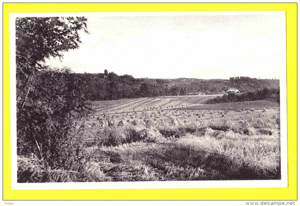 * Bonlez (Chaumont Gistoux - Waals Brabant) * (Nels, Edition Rogge) Vue Vers Gistoux, Prise Du Chemin Reliant, Rare - Chaumont-Gistoux