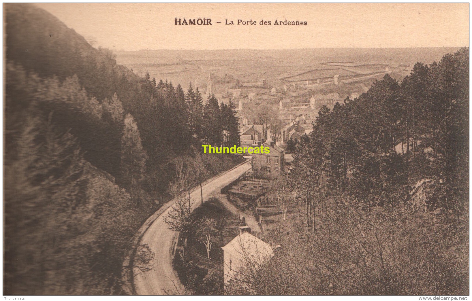 CARNET DE 10 CPA HAMOIR HOTEL DE LA POSTE PANORAMA LA PORTE DES ARDENNES LE NEHLON SOUS BOIS EGLISE ... - Huy