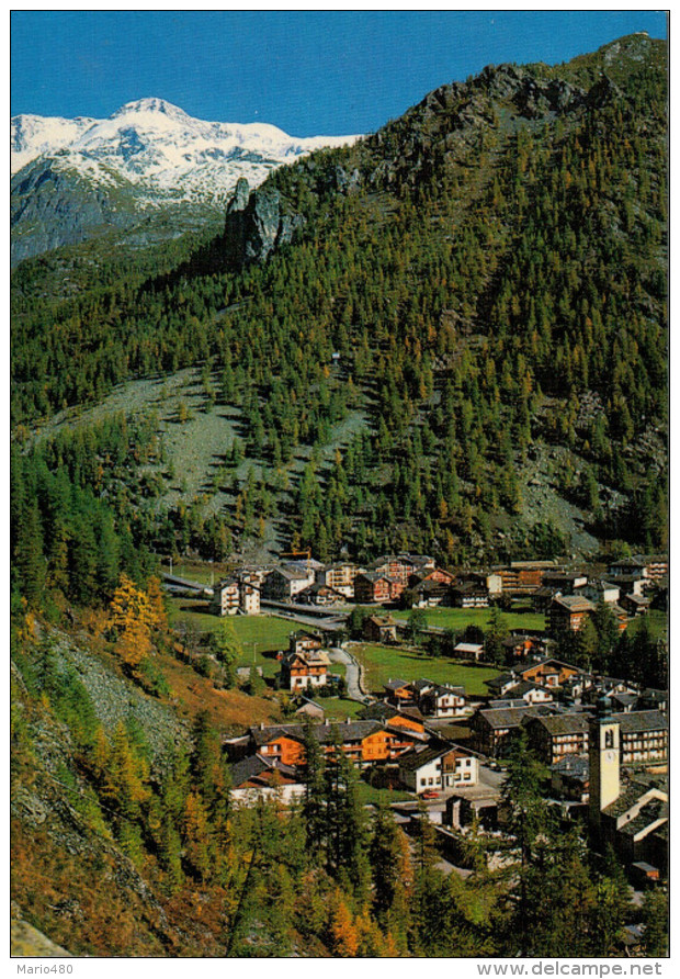 STERZING-VIPITENO  CITTA' MEDIOEVALE  VALLE  ISARCO    MAXI CARD  (VIAGGIATA) - Vipiteno