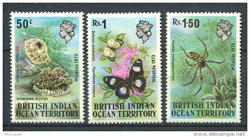 158 Territoire Britannique OCEAN INDIEN 1973 - Papillon Araignee Corail (Yvert 54/56) Neuf ** (MNH) Sans Charniere - Territoire Britannique De L'Océan Indien