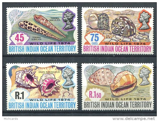 158 Territoire Britannique OCEAN INDIEN 1974 - Coquillage (Yvert 59/62) Neuf ** (MNH) Sans Charniere - Britisches Territorium Im Indischen Ozean