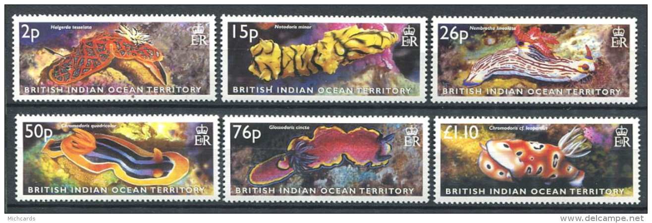 158 Territoire Britannique OCEAN INDIEN 2003 - Mollusque Limace De Mer (Yvert 256/61) Neuf ** (MNH) Sans Charniere - Territoire Britannique De L'Océan Indien