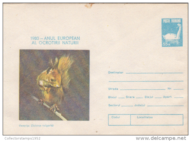 40318- SQUIRREL, SWAN, COVER STATIONERY, 1980, ROMANIA - Roditori