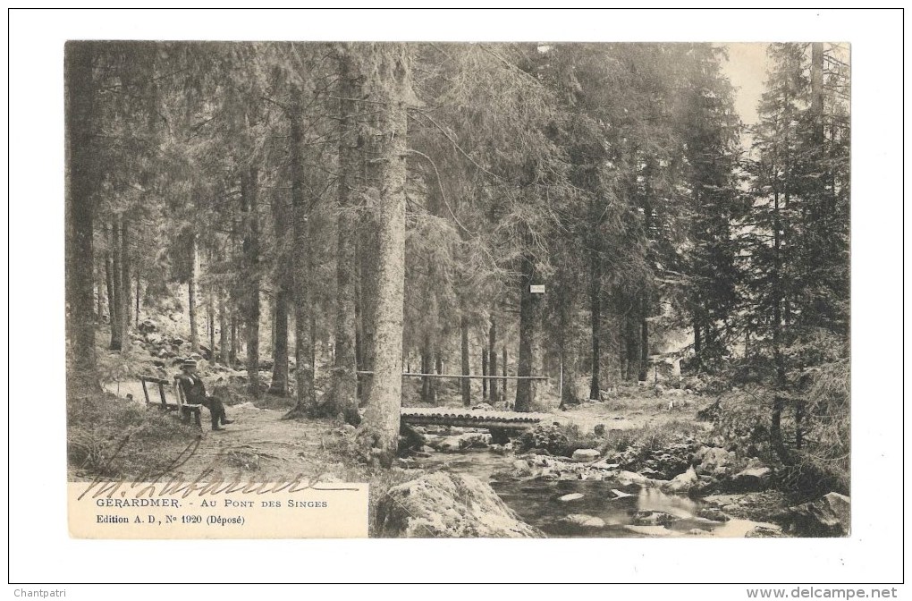 Gérardmer - Au Pont Des Singes - Gerardmer