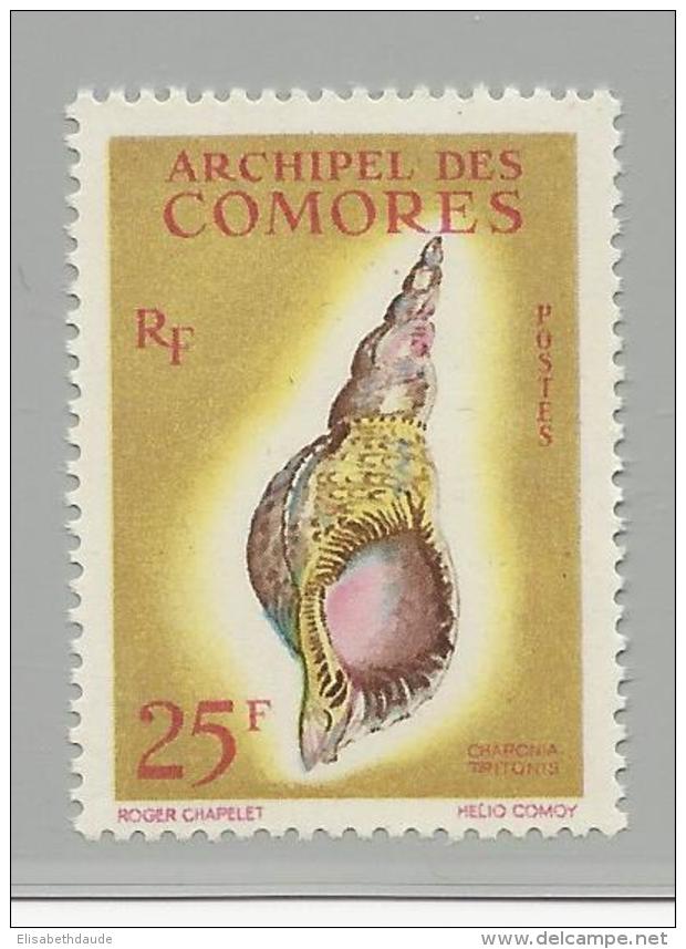 COMORES - 1962 - YVERT N° 24 ** MNH - COTE = 18 EUR. - COQUILLAGES - Ongebruikt