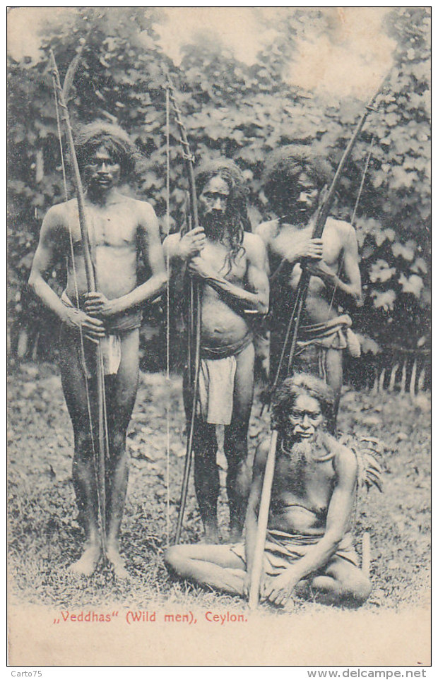 Asie - Sri Lanka Ceylon - Aborigines - Veddas - People Of The Forest - Sri Lanka (Ceylon)