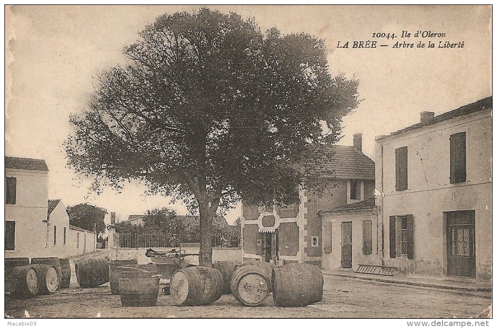 17  Charente - Maritime  :  Ile - D´oléron     La  Bréé  Arbre De La Liberté         Réf 1640 - Ile D'Oléron